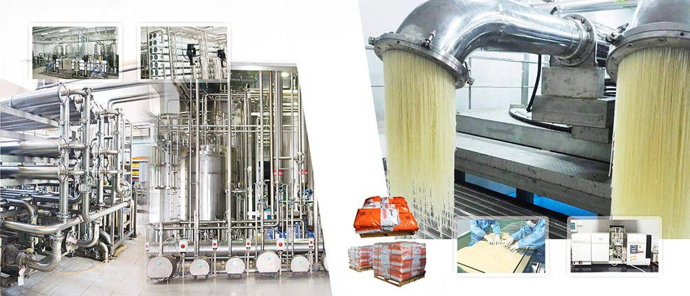 SHANGSHUI FUYUAN GELATIN CO. Produktionslinie des Herstellers