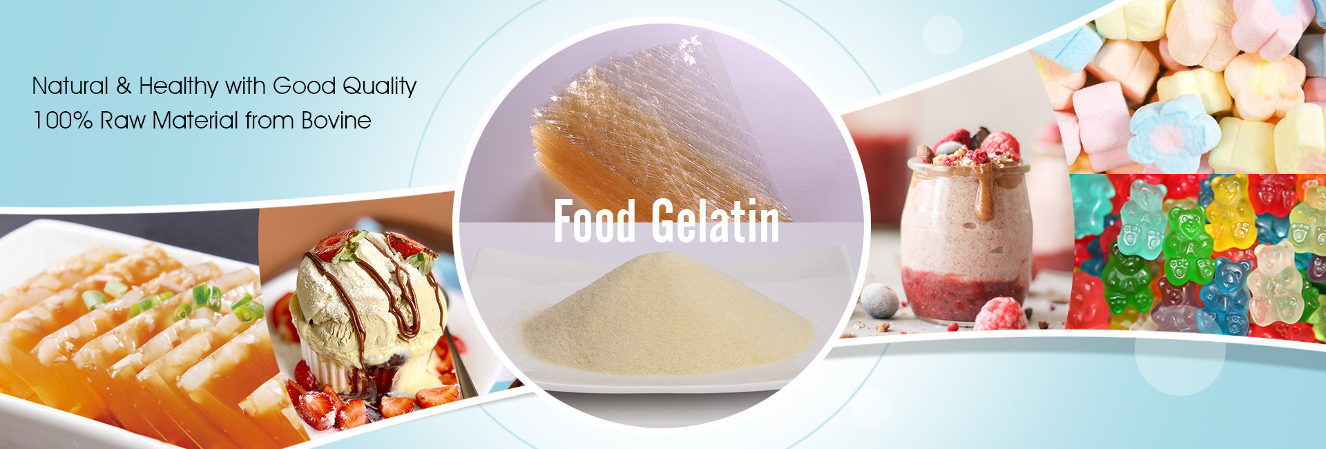 Qualität Gelatine usine