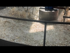 Gelatinepulver aus Rindern, pharmazeutischer Qualität, mit einer Gelstärke von 160 bis 280