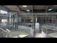 Verwendung von Kosmetikpigmenten Kollagenpeptide zur Aufbewahrung fern von Licht und hoher Temperatur